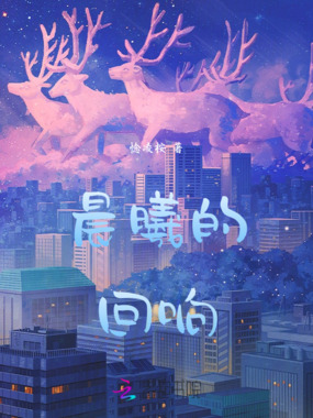 晨曦的回响在线阅读