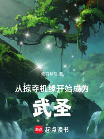 從掠奪機緣開始成為武圣