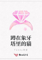 蹲在象牙塔里的貓在線閱讀