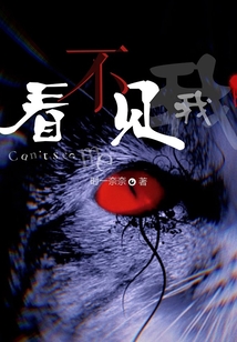 看不見我