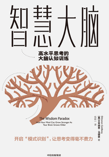 智慧大腦：高水平思考的大腦認知訓練