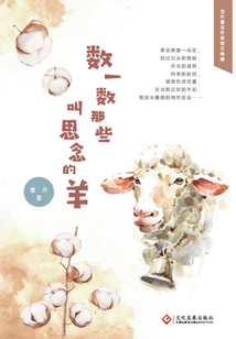 数一数那些叫思念的羊
