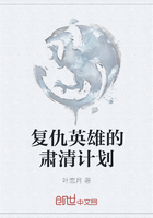復(fù)仇英雄的肅清計(jì)劃在線閱讀