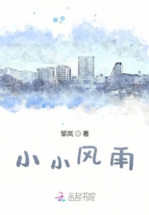 小小風雨