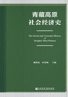 青藏高原社会经济史