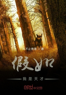 假如我是天才