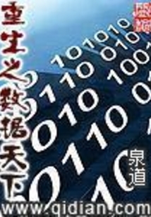 重生之?dāng)?shù)據(jù)天下