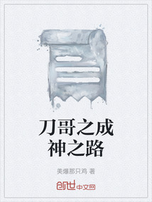 刀哥之成神之路