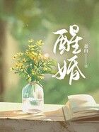 醒婚在线阅读