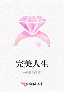 完美人生