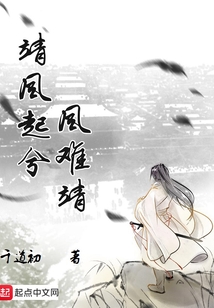靖風起兮風難靖