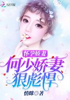 懷孕嬌妻：何少嬌妻狠彪悍在線(xiàn)閱讀