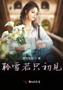 聆雪若只初見