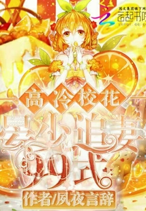 高冷校花晏少追妻99式