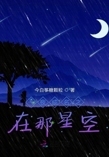 一夜成名之在那星空