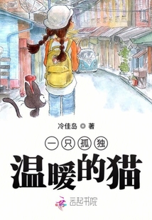 一只孤獨溫暖的貓