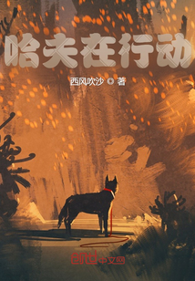 哈夫在行動