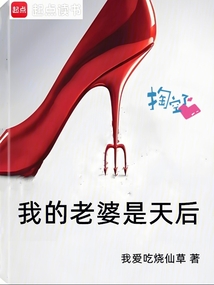 我的老婆是天后