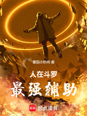 人在斗罗，最强辅助在线阅读