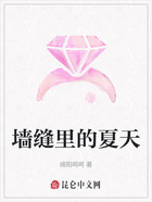 墙缝里的夏天在线阅读