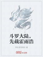 斗罗大陆,先截霍雨浩在线阅读