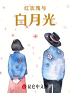红玫瑰与白月光在线阅读