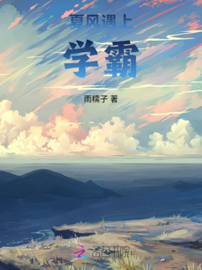 夏风遇上学霸在线阅读