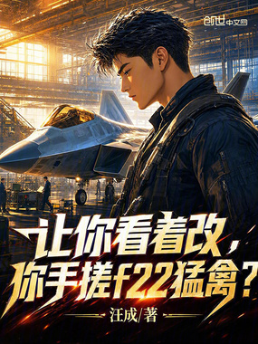 让你看着改,你手搓f22猛禽?在线阅读
