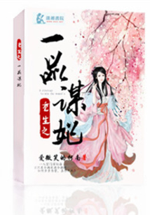 盛宠之一品谋妃