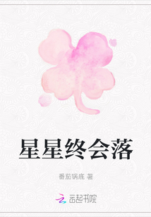 星星终会落