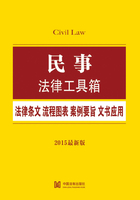 民事法律工具箱：法律条文·流程图表·案例要旨·文书应用