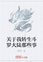 关于我转生斗罗大陆那些事在线阅读