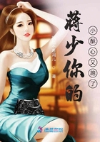 蔣少你的小酥心又跑了在線閱讀