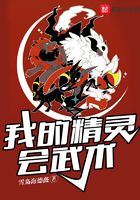 我的精灵会武术在线阅读