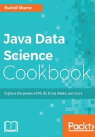 Java Data Science Cookbook在线阅读