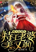 薄少追妻忙:特工老婆美又飒