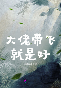 大佬帶飛就是好