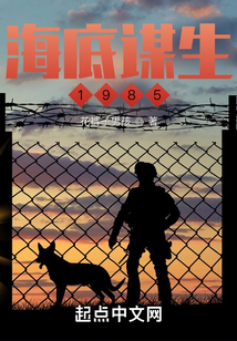 海底謀生1985