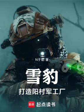 雪豹:打造阳村军工厂在线阅读