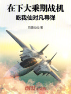 在下大乘期战机,吃我仙对凡导弹在线阅读