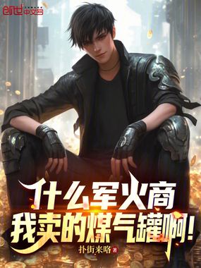 什么军火商，我卖的煤气罐啊！在线阅读