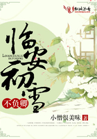臨安初雪不負卿在線閱讀