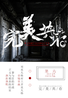 完美共存在线阅读