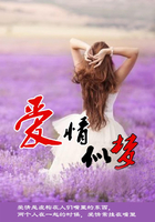 爱情似梦在线阅读