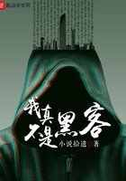 我真不是黑客在線閱讀