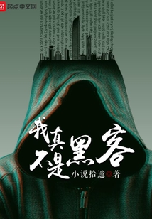 我真不是黑客