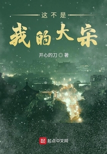 這不是我的大宋