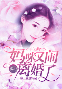 千亿萌宝:爹地,妈咪又闹离婚了