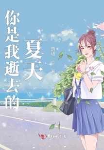 你是我逝去的夏天