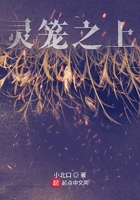 灵笼之上